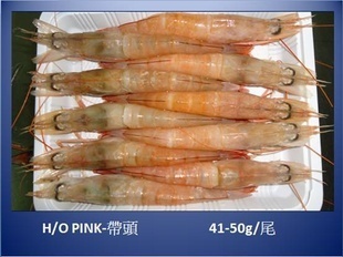 冷凍粗加工水產品-臺灣海捕 中蝦 2012新貨-冷凍粗加工水產品盡在阿里巴巴-煙.