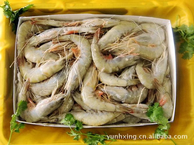 各種海鮮水產 活龍蝦 新鮮水產品】價格,廠家,圖片,冷凍水產品,乳山市