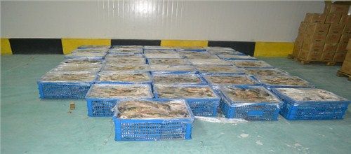 >上海水產冷鏈倉庫  品牌: 產品簡介: 上海水產冷鏈倉庫|上海海鮮冷凍