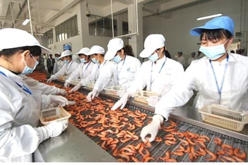 其中指出水產品加工趨勢有 行業資訊 市場分析 >> 中國水產加工
