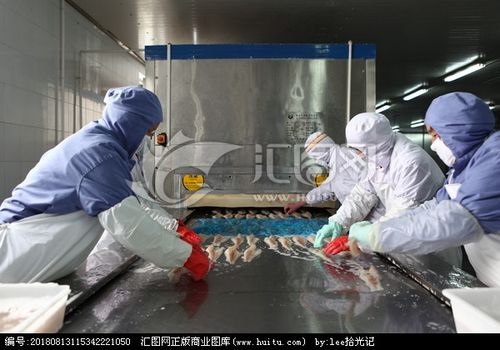 水產品加工流水線海鮮加工車間