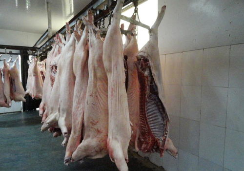 豬肉 廠家優質豬肉,白條 白條豬,冷凍白條豬,冷凍肉類