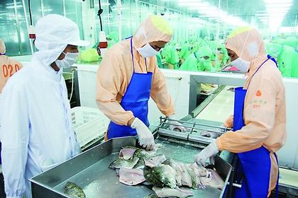 中國水產品出口新興市場