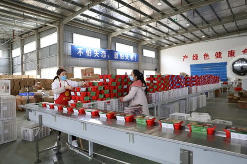 隘口 富隘食品 電商產品加工線投用,將帶動100余人就業