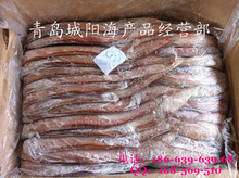 細鱗魚_冷凍粗加工水產品_細鱗魚批發_細鱗魚供應_阿里巴巴