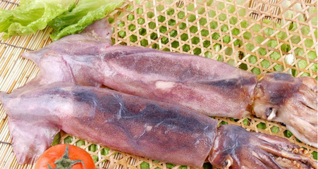 冷凍粗加工水產品-經銷供應 優質冷凍魷魚須 粗加工水產品魷魚冷凍食品-冷凍粗加工.