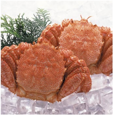 冰鮮水產·冷凍水產