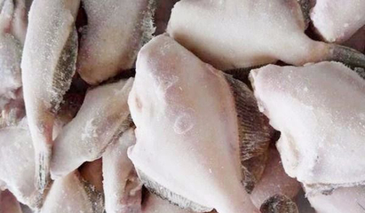 速凍后的魚比活魚更有營養嗎?