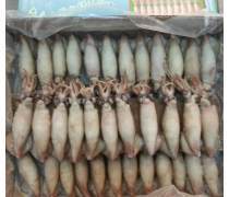 冷凍水產(chǎn)品魷魚企業(yè)黃頁