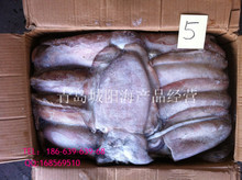 黑魚_冷凍粗加工水產(chǎn)品_黑魚批發(fā)_黑魚供應(yīng)_阿里巴巴