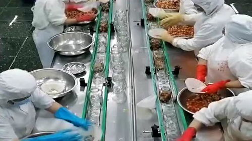 都說水果罐頭不健康,可看完食品廠的加工過程,我有點懷疑了
