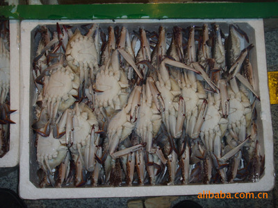 冷凍粗加工水產(chǎn)品-優(yōu)質(zhì)供應(yīng) 漁婆婆野生梭子蟹-冷凍粗加工水產(chǎn)品盡在阿里巴巴-.