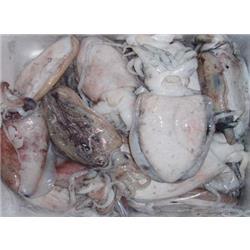 冷凍粗加工水產(chǎn)品