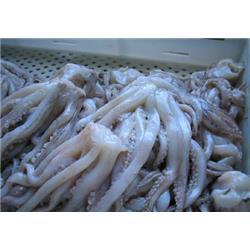 冷凍粗加工水產(chǎn)品