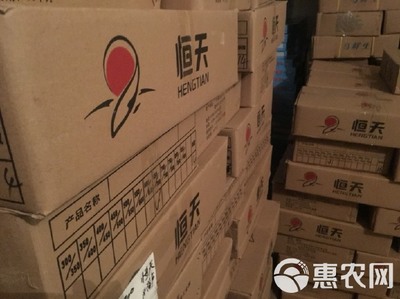 冷凍鱸魚(yú) 速鮮白蕉海鱸冰凍花鱸真鱸海鱸工廠原產(chǎn)地發(fā)貨