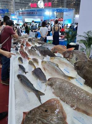 2020海峽(福州)漁業周“線上+線下”簽約總金額達237.94億元