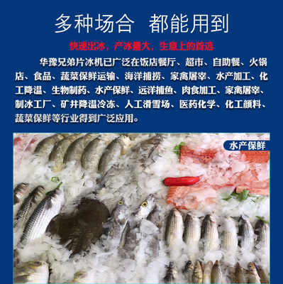 500公斤片冰機