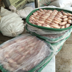 冷凍粗加工水產品-大量米魷批發(fā)-冷凍粗加工水產品盡在阿里巴巴-深圳市龍華新區(qū)龍華.
