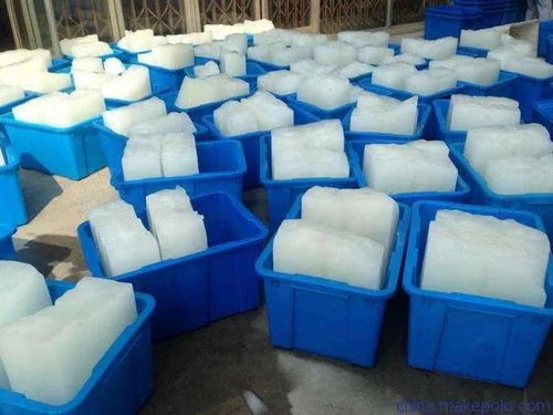 白馬井鎮(zhèn) 水產品加工企業(yè)恢復生產