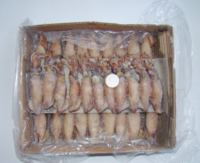 冷凍粗加工水產(chǎn)品-長期供應 冷凍粗加工水產(chǎn)品 熟凍糕魷魚 大量批發(fā)-冷凍粗加工水.