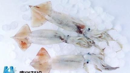 海鮮冷庫建設水產(chǎn)品貯藏