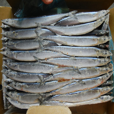 冷凍粗加工水產(chǎn)品-我司現(xiàn)有秋刀魚出售,有需要的客戶請與我們聯(lián)系-冷凍粗加工水產(chǎn)品.