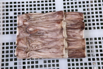 冷凍水產(chǎn)
