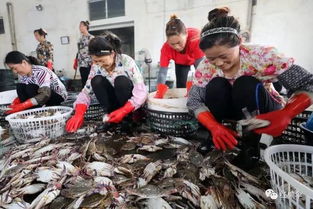 開(kāi)海了 想買(mǎi)最新鮮 地道的海鮮,老連云港人都來(lái)這里
