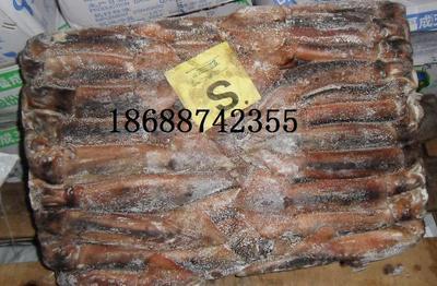 魷魚(yú)價(jià)格_魷魚(yú)_廣東深圳市魷魚(yú)生產(chǎn)供應(yīng)商_冷凍粗加工水產(chǎn)品盡在搜了網(wǎng)