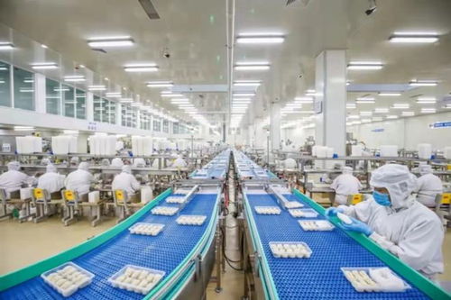惠發食品校園智慧餐廳樣板落地,掀開團餐商業版圖