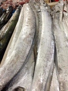 冷凍粗加工水產品-廠家直銷冷凍水產帶魚 冷凍帶魚批發-冷凍粗加工水產品盡在阿里巴.