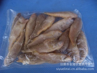 冷凍粗加工水產品-小黃花-冷凍粗加工水產品盡在阿里巴巴-日照市東港區鑫鵬冷藏廠
