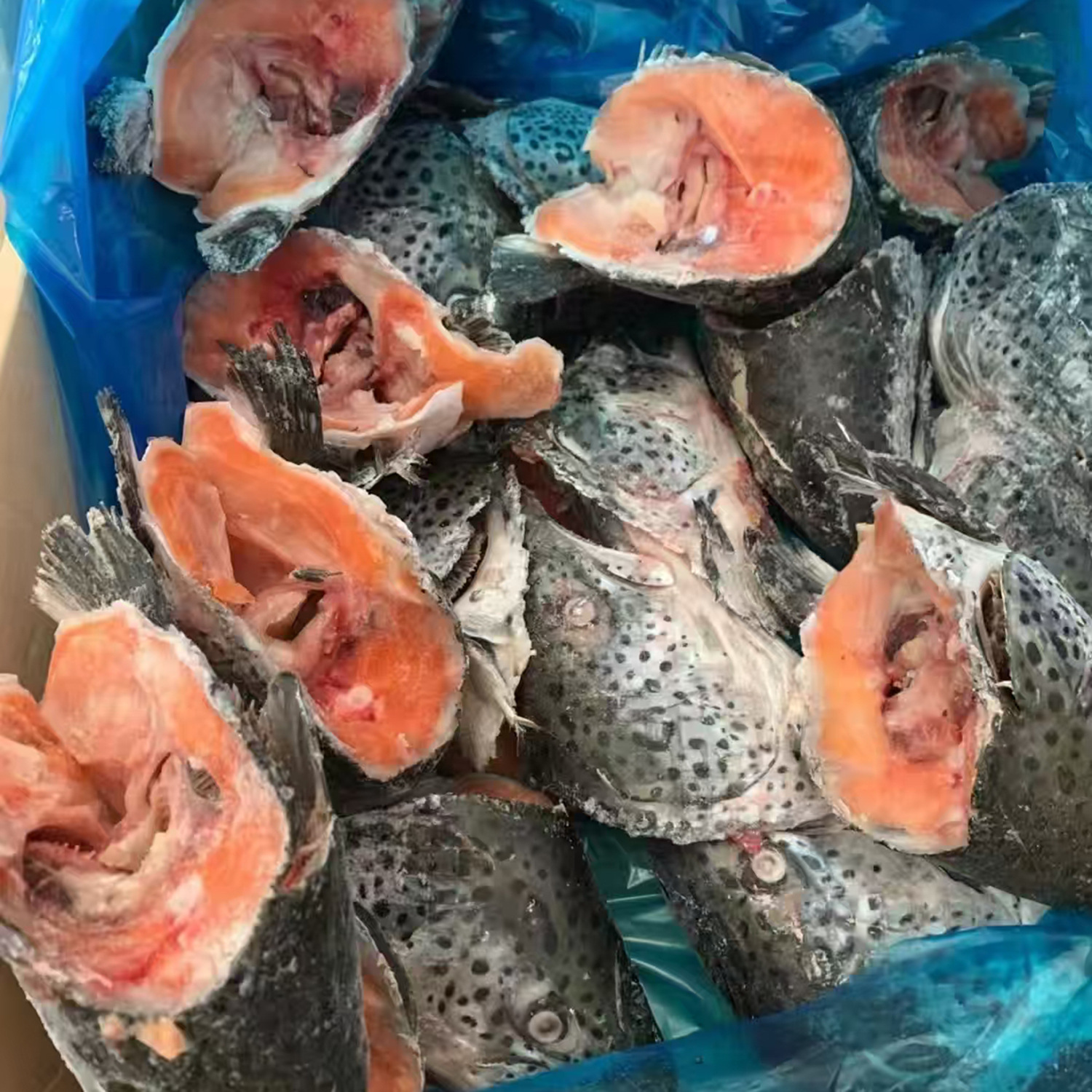 三文魚魚頭加工處理冷凍批發煲湯剁椒魚頭食材海鮮水產餐飲食材
