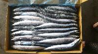 福建 冷凍水產品 冷凍加工批發_冷凍加工價格-