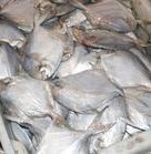 冷凍粗加工水產品-廠家低價直銷鯧魚 冷凍海珍品-冷凍粗加工水產品盡在阿里巴巴-.