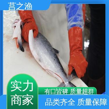 鮭魚多少錢一斤市場價格