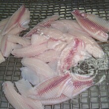 湛江國聯水產