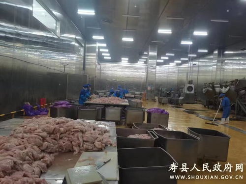 安徽壽縣 建農(nóng)產(chǎn)品加工產(chǎn)業(yè)園 助力鄉(xiāng)村高質(zhì)量發(fā)展