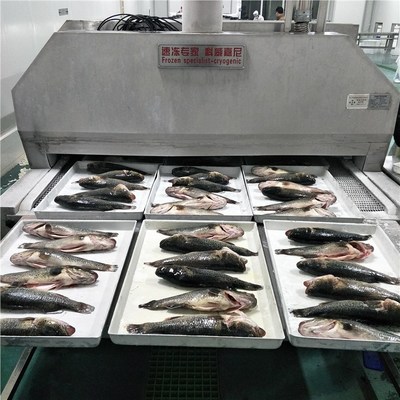 液氮速凍機(jī)瞬間鎖鮮水產(chǎn)海鮮沙丁魚(yú)鯧魚(yú)魷魚(yú)